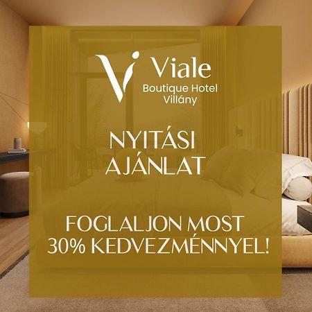 Viale Boutique Hotel ヴィッラーニ エクステリア 写真
