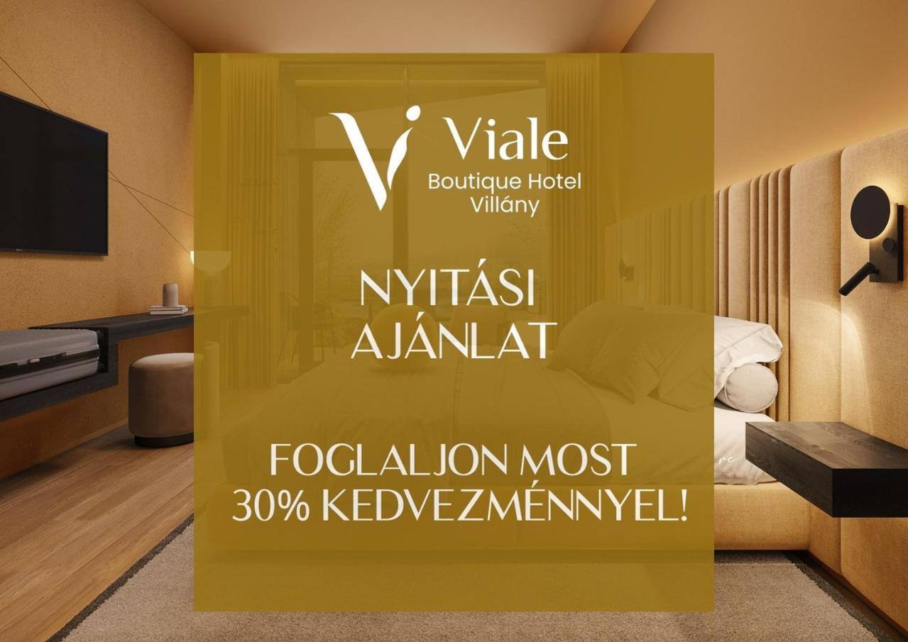 Viale Boutique Hotel ヴィッラーニ エクステリア 写真